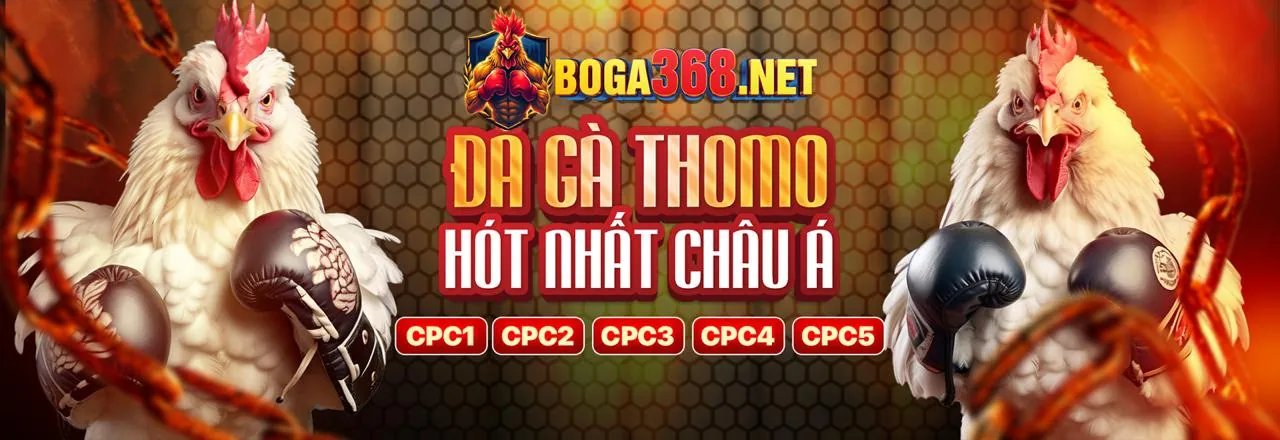 Cập nhật liên tục 11u